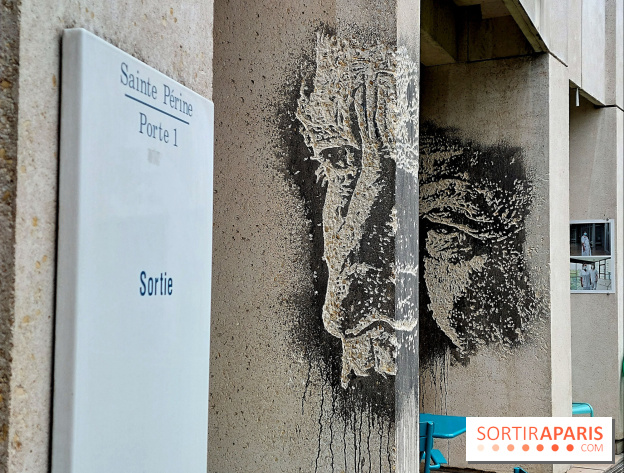 Street art : où voir les œuvres de Vhils à Paris et en Île-de-France ?