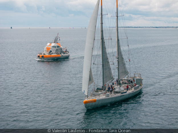 La goélette Tara amarrée à Paris : visites à bord et exposition à quai pour une plongée en Arctique