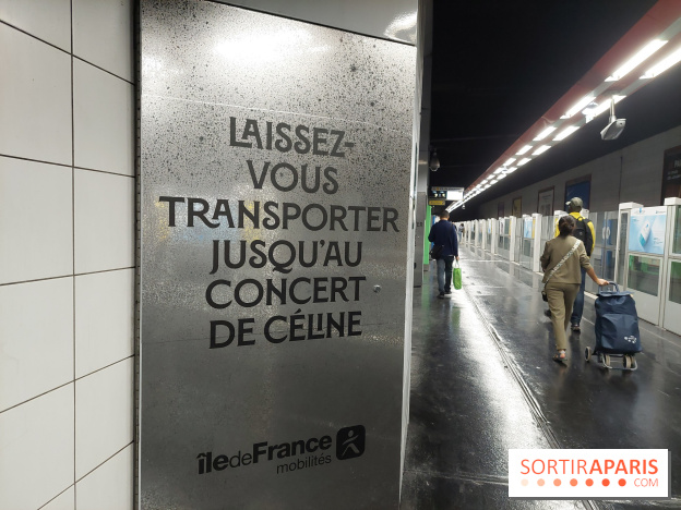 Concerts de Céline Dion à Paris : des perturbations annoncées sur les RER A et E en soirée
