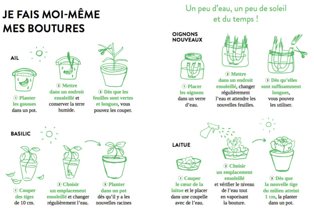 Confinement : des activités nature et green à faire chez soi