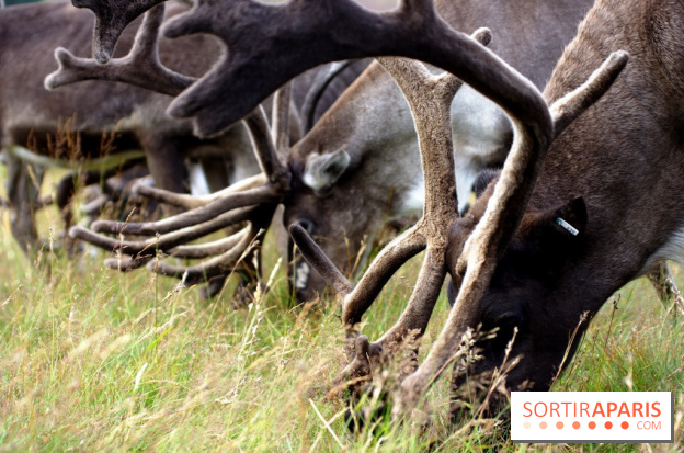 Climat Environnement Arctique fonte permafrost
