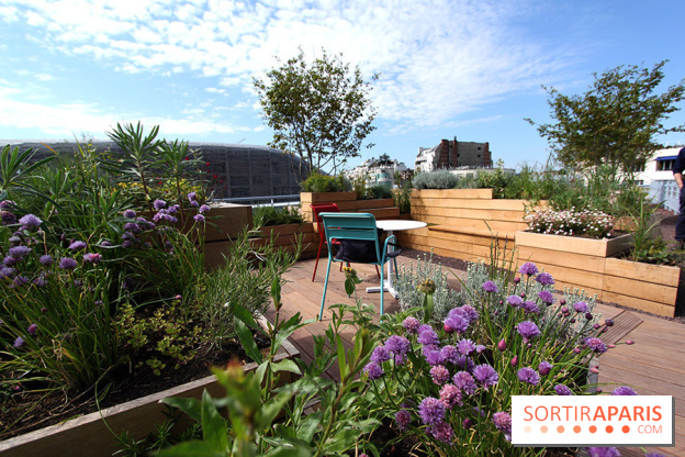 Molitor : terrasse rooftop, jardins