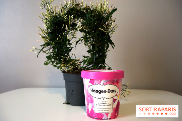 Hägen Dazs nouvelle recette printemps 2019