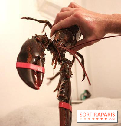 Les Pinces, le restaurant de Homard frais à Paris