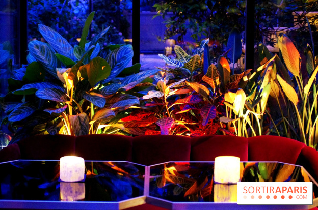 Le Très Particulier - la verrière