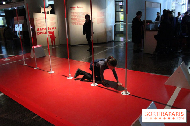 Exposition Chiens et Chats à la Cité des Sciences