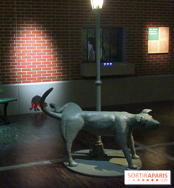 Exposition Chiens et Chats à la Cité des Sciences