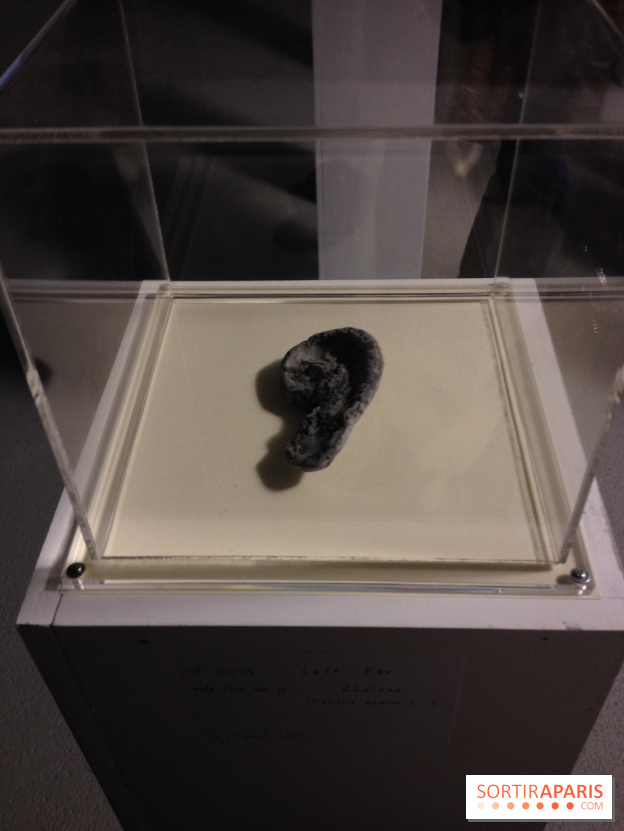 Archipel Secret au Palais de Tokyo