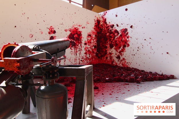 Shooting into the Corner d'Anish Kapoor au Château de Versailles