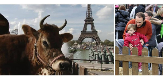 Nuit Verte 2014 au Trocadéro