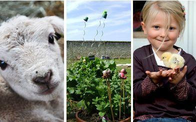 Les clubs des petits jardiniers de Gally