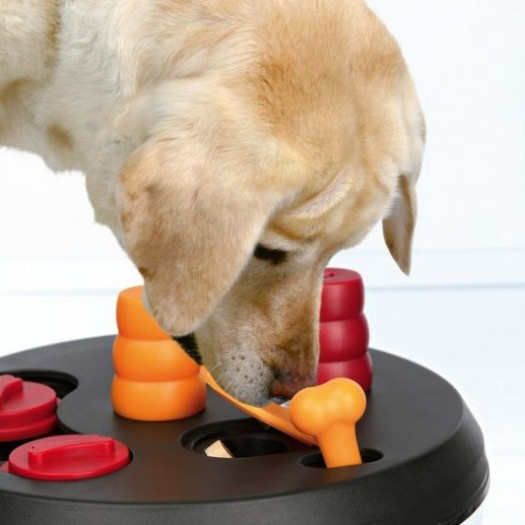 Cadeaux de Noël 2016 pour animaux : un jeu de stratégie éducatif