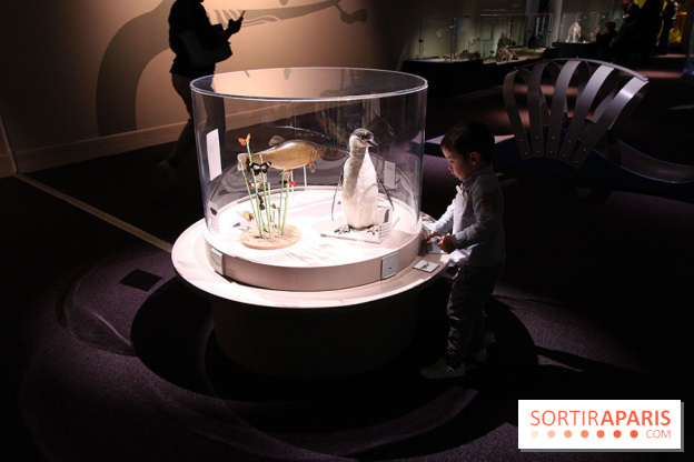 Exposition BéBés animaux à la Cité des Sciences, les photos