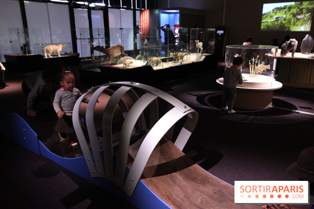 Exposition BéBés animaux à la Cité des Sciences, les photos