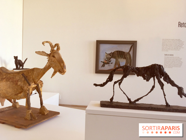 Picasso-Giacometto au Musée Picasso