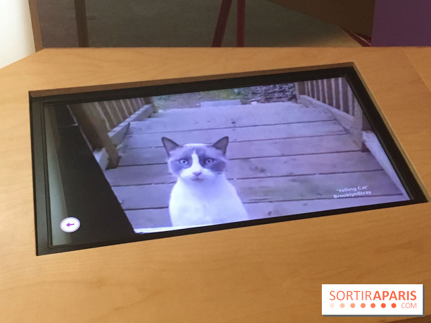 Viral, l'expo au Palais de la Découverte