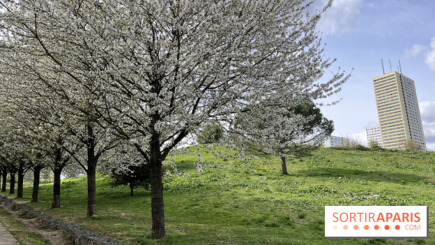 Du Tai Chi au Parc des Guilands (93) pour les Rendez-Vous aux Jardins 2026