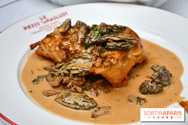 Le Petit Chaillot : un bistrot typique et gourmand à deux pas du musée de L’homme et du palais Galliera