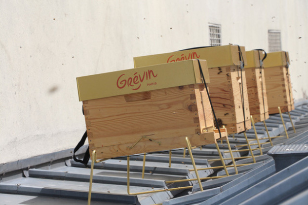 Grévin accueille des ruches sur son toit !