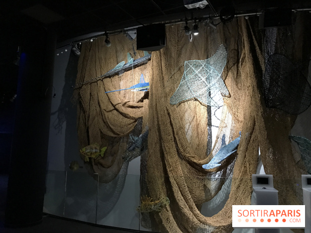 Les récifs Coralliens s'exposent à l'Aquarium de Paris
