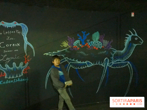 Les récifs Coraliens s'exposent à l'Aquarium de Paris