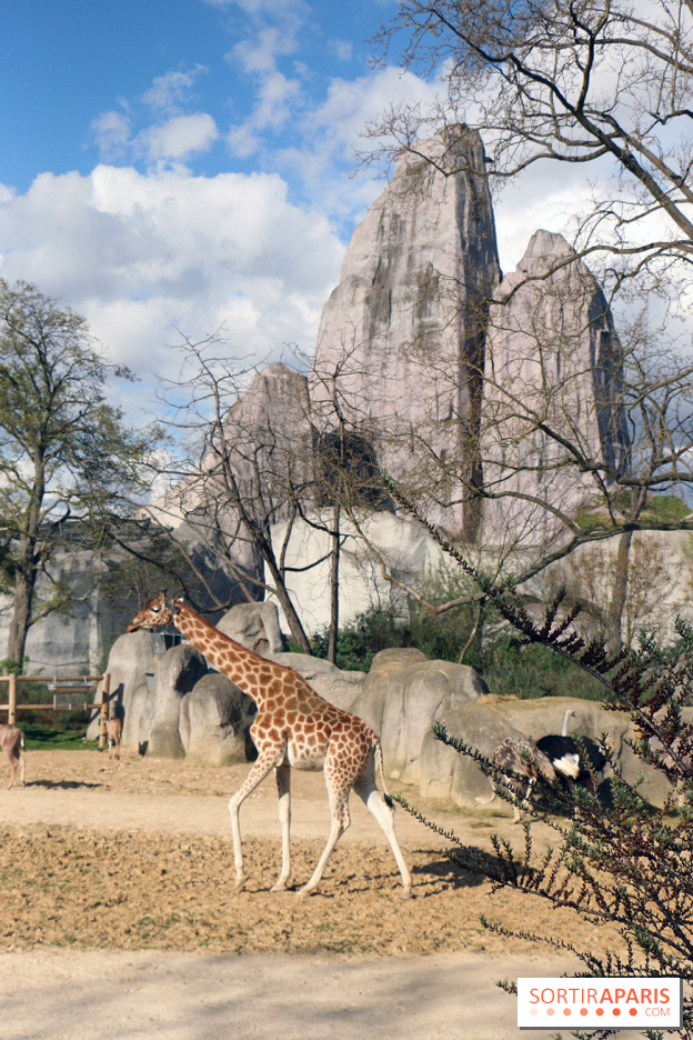 Zoo de Vincennes, Parc Zoologique de Paris 2017
