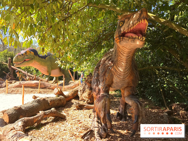 DinoZOOre II au Zoo de Thoiry, album 2