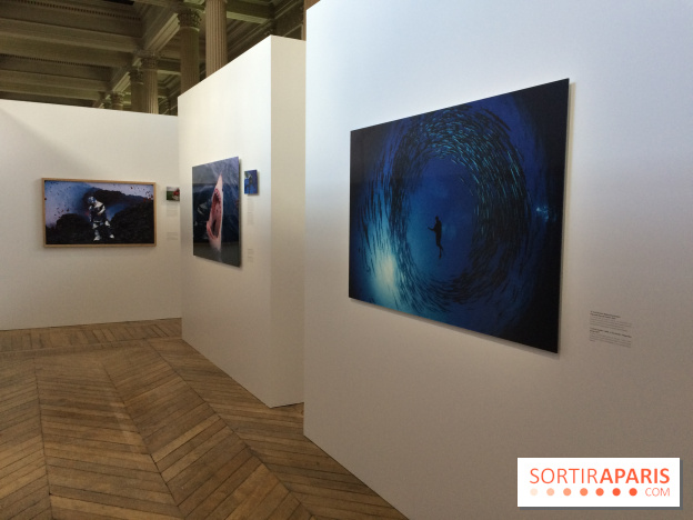 National Geographic s'expose au MNHA : nos images de l'expo