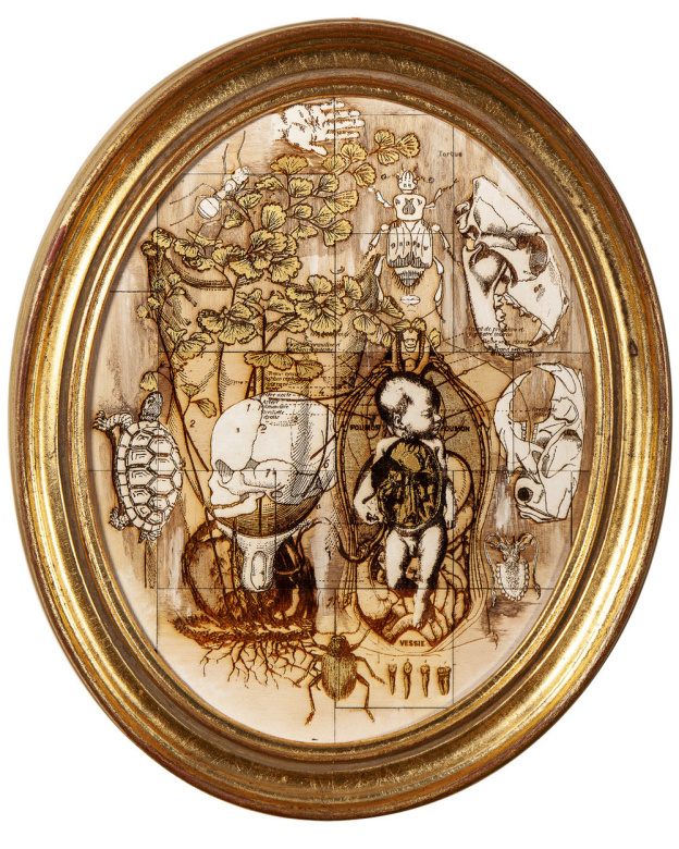 Anatonirisme : l'exposition gratuite entre art et science à la galerie La Lison