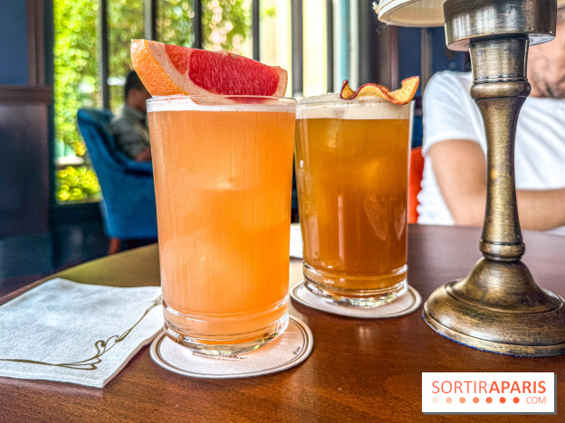 The Regal View Lounge à Disneyland Paris : le bar royal avec vue sur Adventure Bay, notre avis