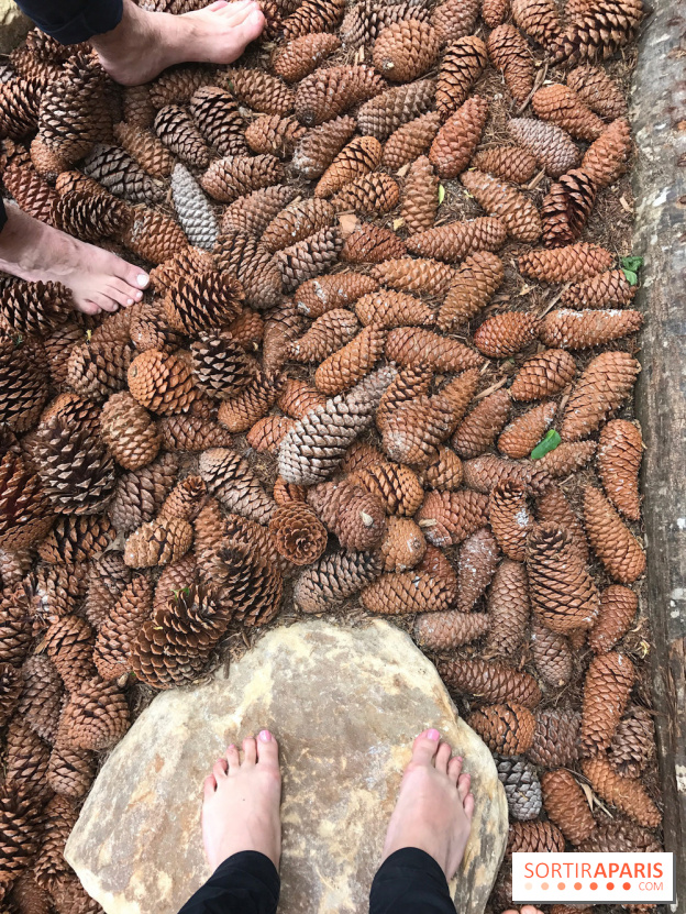 Le Parcours Biodiversité du Parc Zoologique de Paris