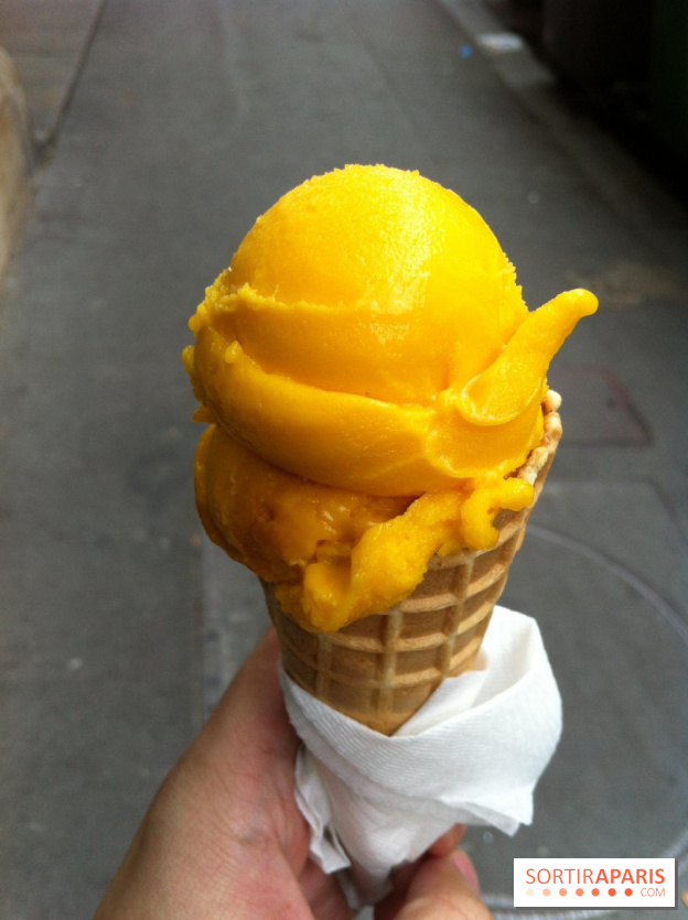 Bac à Glace, Sorbet Mangue