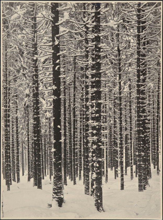 Jeu de Paume hiver 2017