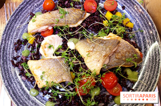 Les Fous de l'île : dorade royale