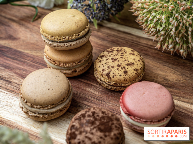 Pierre Hermé Macaron