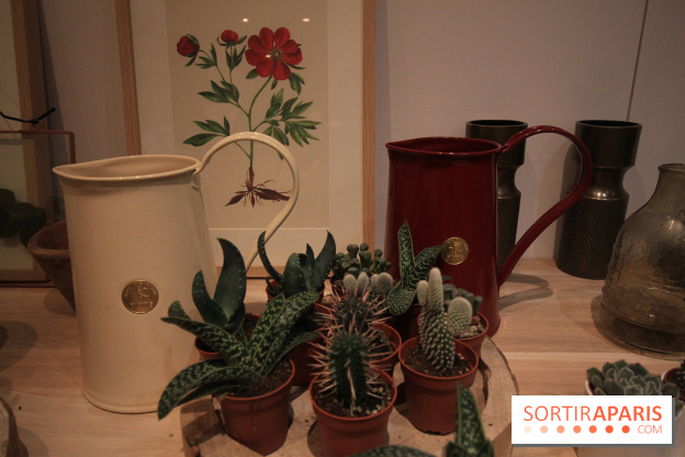 Le pop-up Store de Bergamotte