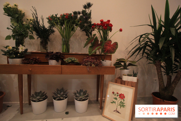 Le pop-up Store de Bergamotte