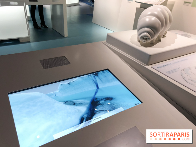 Froid à la Cité des Sciences