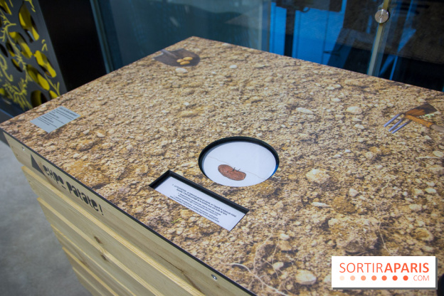 Patate, l'expo à la Cité des Sciences