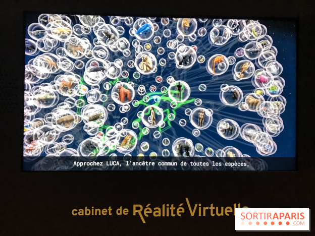 Le Cabinet de Réalité Virtuelle du Muséum national d'Histoire naturelle