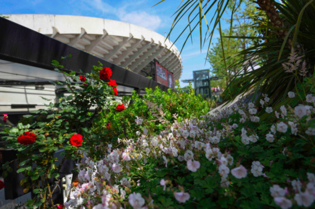 Roland-Garros 2019 se met au vert !