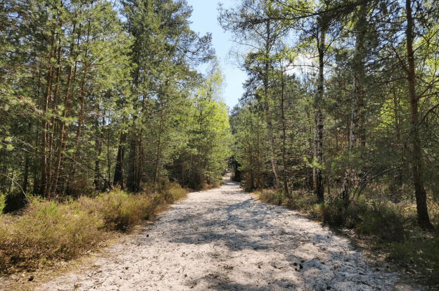 Les meilleures randonnées pour chiller au bord de l'eau près de Paris