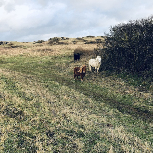 Les meilleures randonnées pour (vraiment) s'évader de Paris 