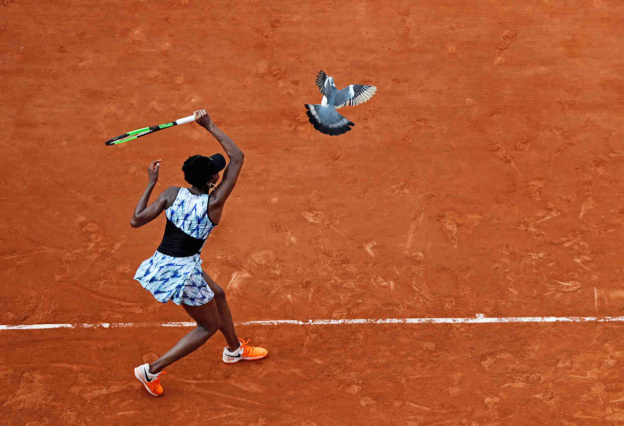 'L'Équipe' vend aux enchères 201 tirages de ses archives photographiques 