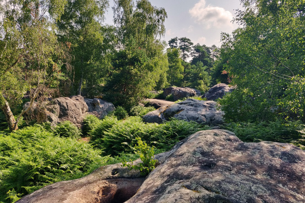 Déconfinement : les randonnées campagnes et forêts à découvrir autour de Paris 