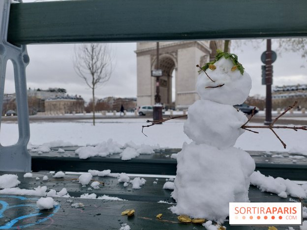 La Neige à Paris - 20260107 123615