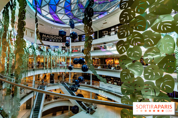 Exposition Monstera Dubia à Beaugrenelle