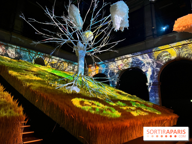 JO de Paris 2024: Les médailles d'or, d'argent et de bronze de la Serbie aux Jeux Olympiques