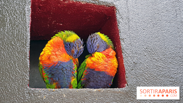 Zoo de Thoiry 2018 : les photos