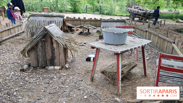 Zoo de Thoiry 2018 : les photos